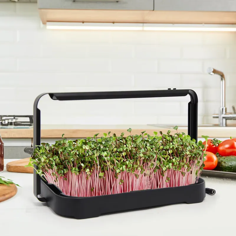 Indoor Garden Kit - Hydroponisches Anzuchtsystem für den Innenbereich, Microgreen-Saatgut,