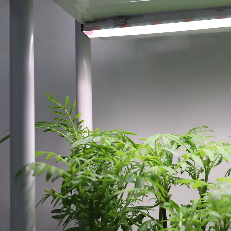 Beweglicher Vertikaler 3-Ebene – Smart Garden System Bewertung und Preis