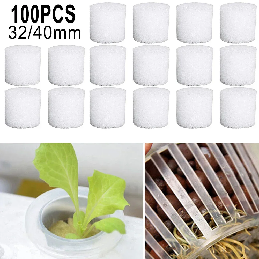 100PCS Soilless Hydrokultur Sc – Hydroponic Grow Pod Bewertung und Preis