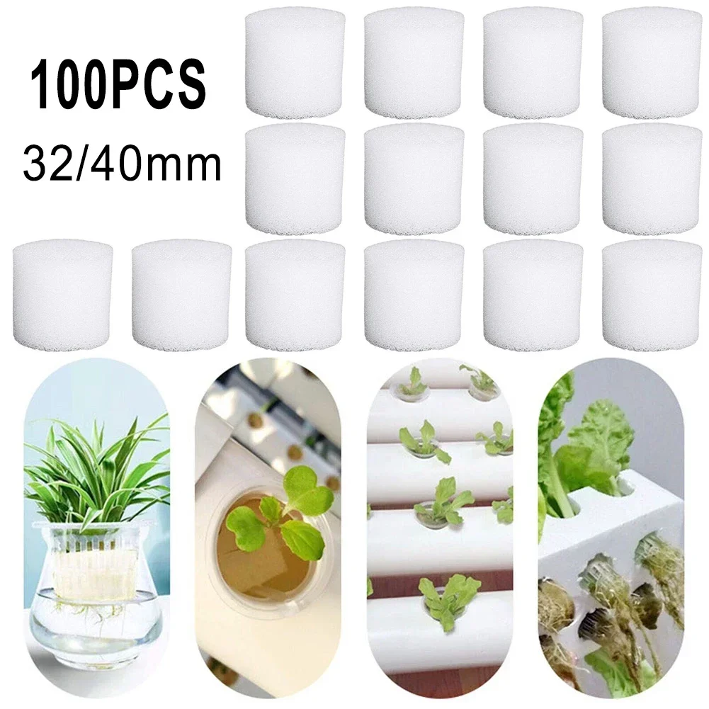 100PCS Soilless Hydrokultur Sc – Hydroponic Grow Pod Bewertung und Preis