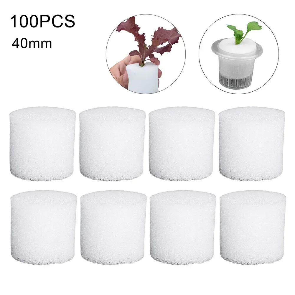 100PCS Soilless Hydrokultur Sc – Hydroponic Grow Pod Bewertung und Preis