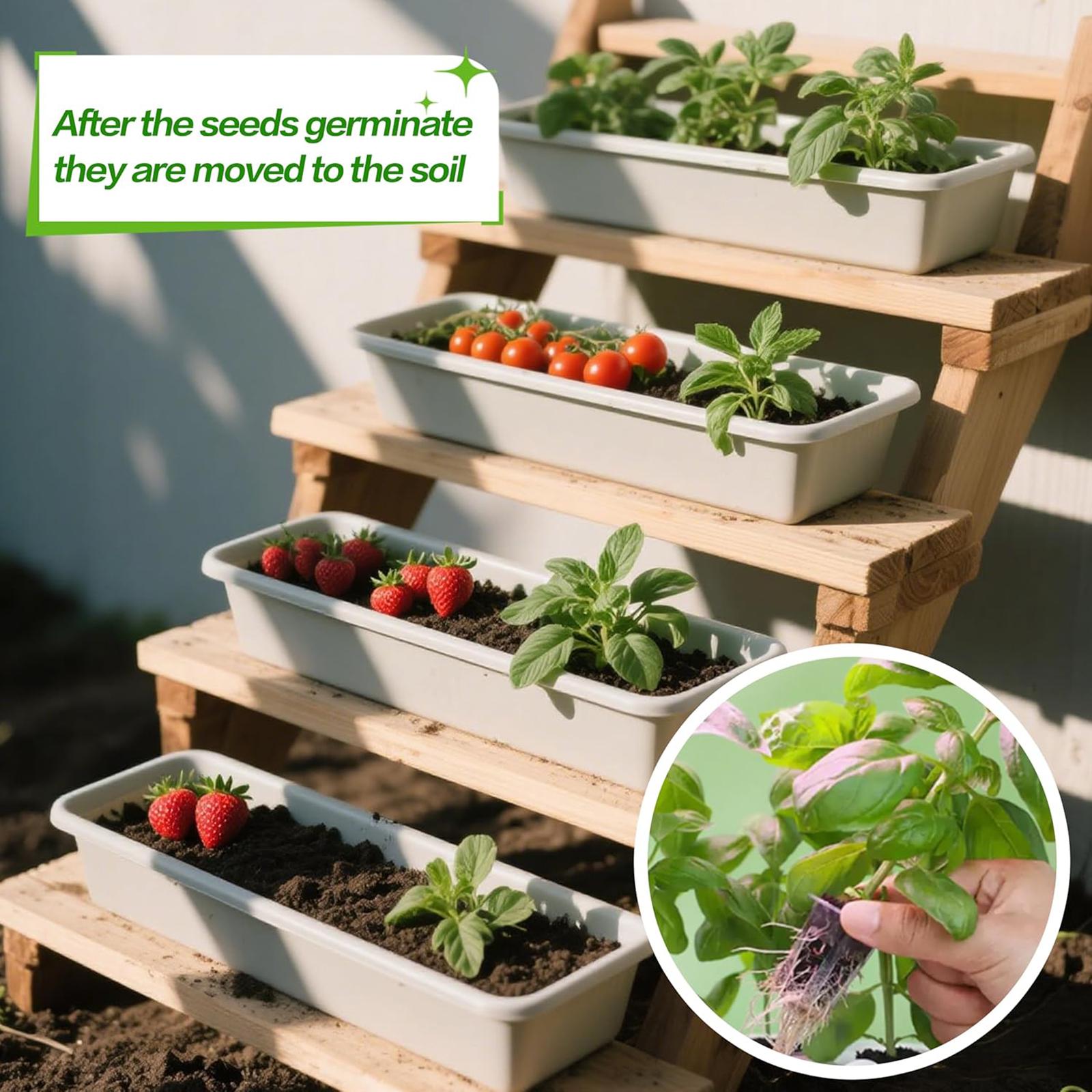 50 Stück Wachstumsschwämme, Wu – Hydroponic Grow Pod Bewertung und Preis