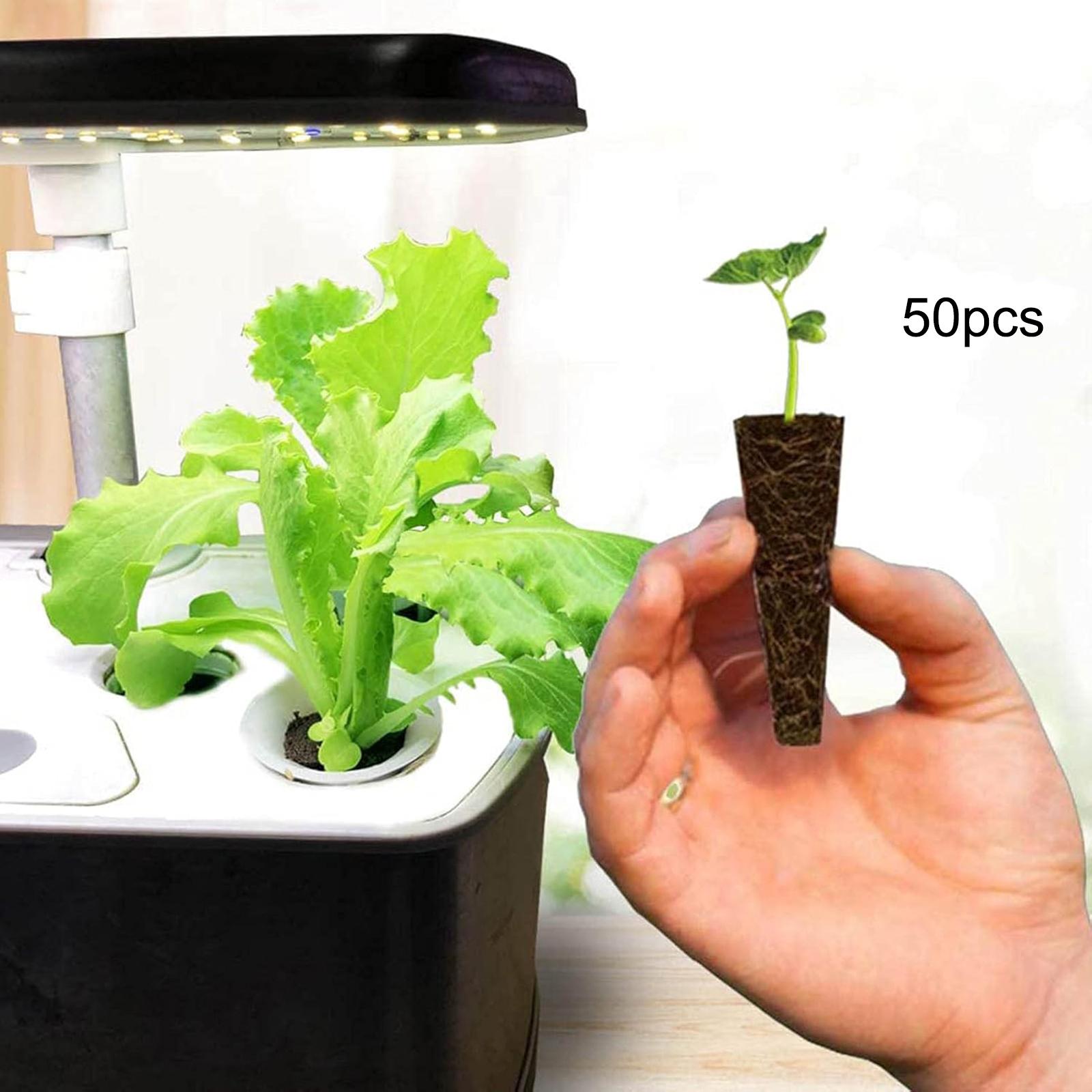 50 Stück Wachstumsschwämme, Wu – Hydroponic Grow Pod Bewertung und Preis