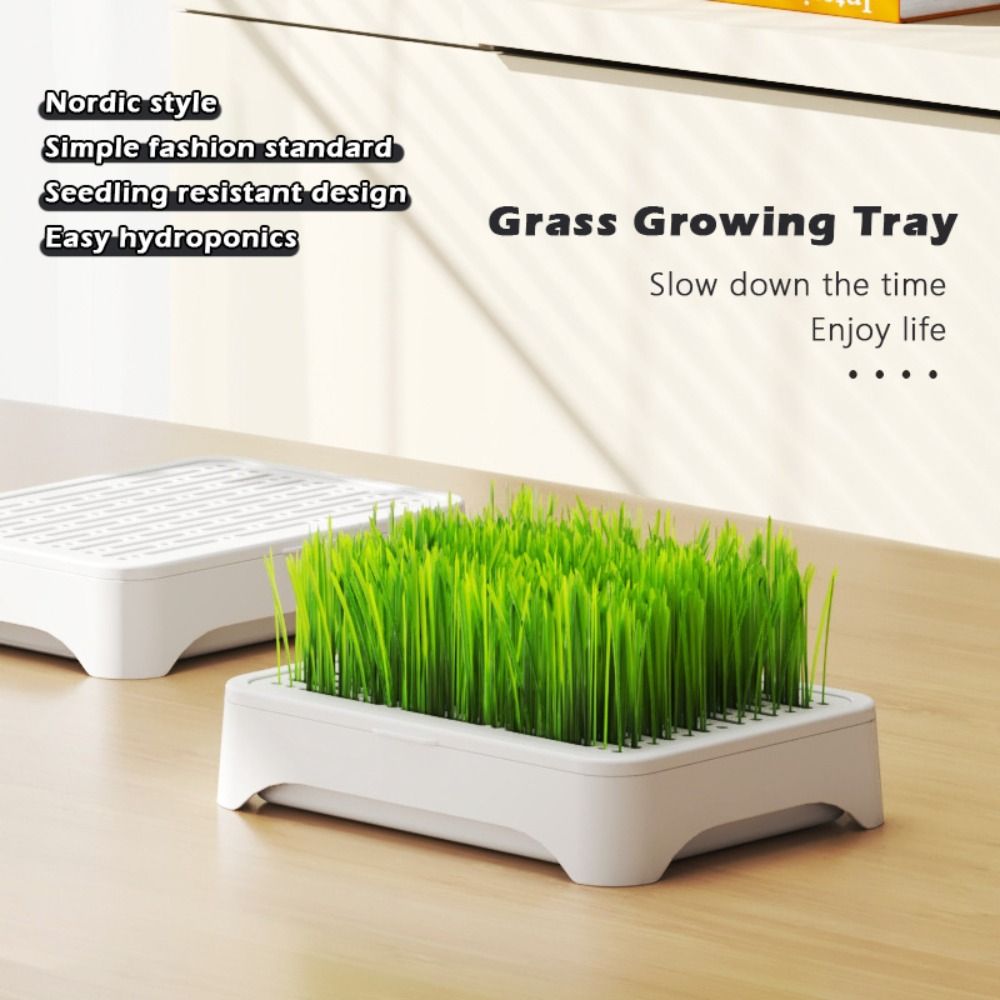 Kunststoff-Hydroponik-Anzuchts – Hydroponic Grow Pod Bewertung und Preis