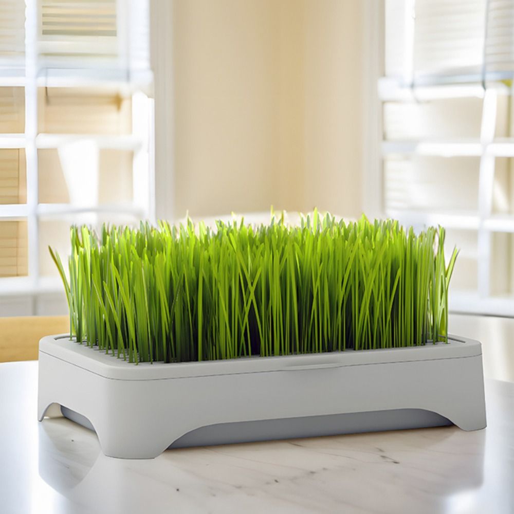 Kunststoff-Hydroponik-Anzuchts – Hydroponic Grow Pod Bewertung und Preis