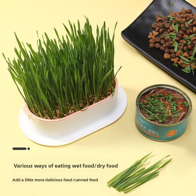 Heimtierbedarf, Katzensnacks,  – Hydroponic Grow Pod Bewertung und Preis