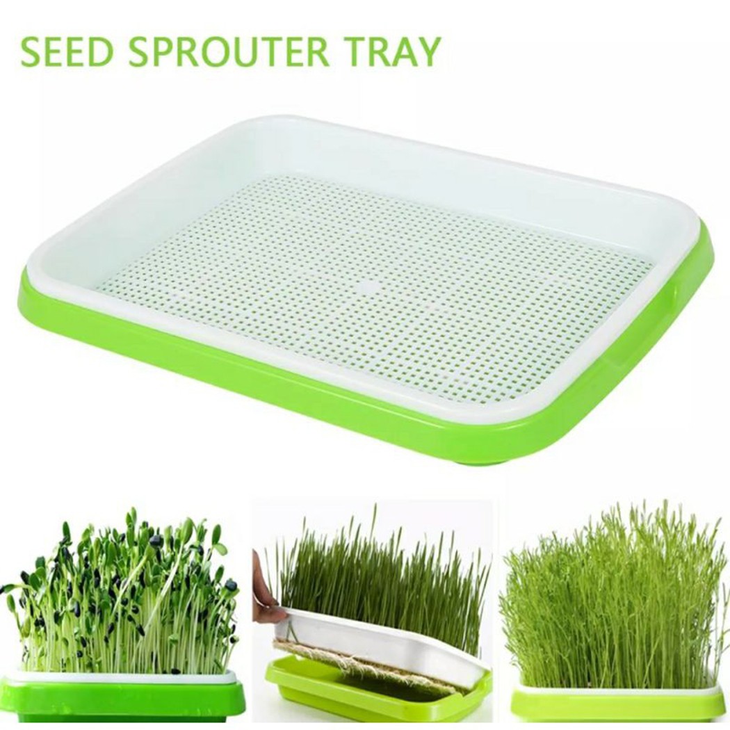 Microgreens Sprouter Tray Hydr – Hydroponic Grow Pod Bewertung und Preis