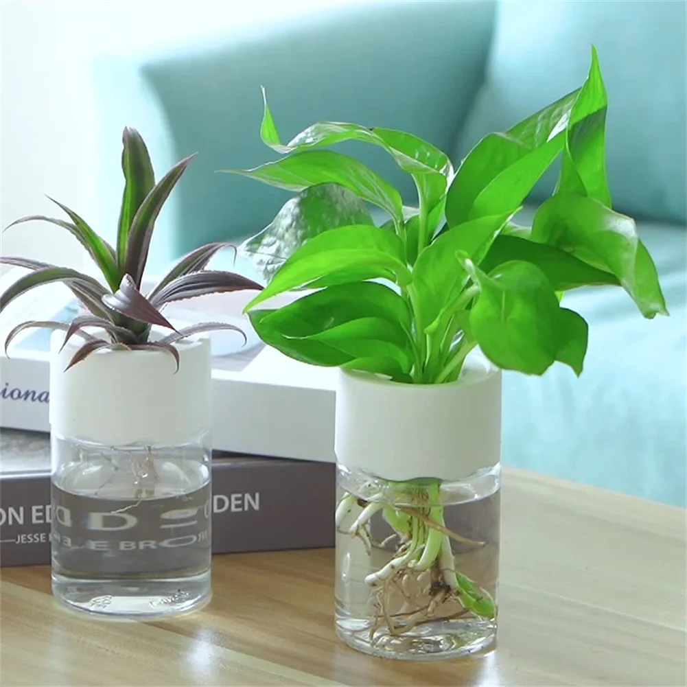 Mini Hydroponischer Blumentopf – Hydroponic Grow Pod Bewertung und Preis