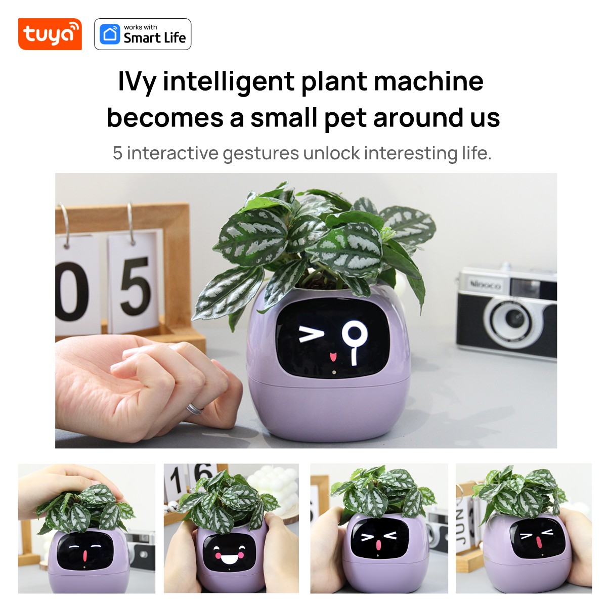 Pink Tuya Efeu Smart Planter,  – Smart Pot Bewertung und Preis