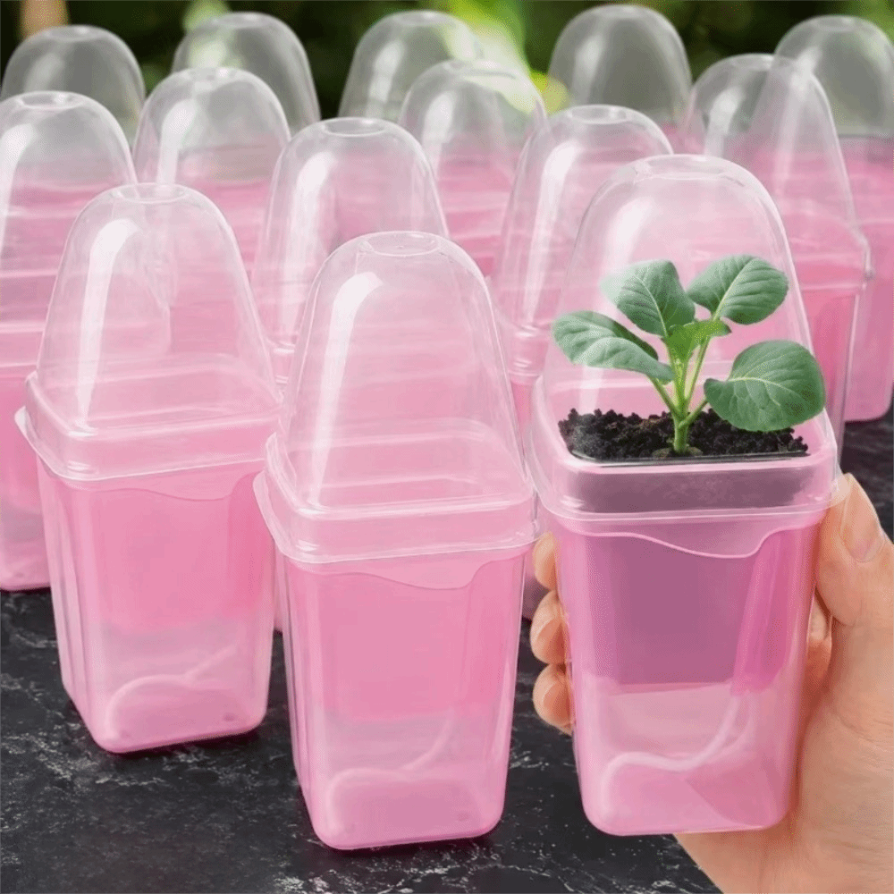 Selbstbewässernde Kunststoff-B – Hydroponic Grow Pod Bewertung und Preis