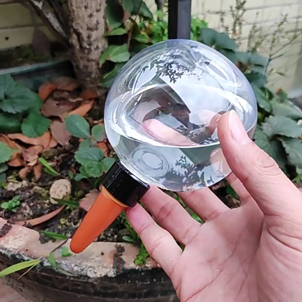 500ML Selbstbewässernde Globen – Self Watering Planter Bewertung und Preis
