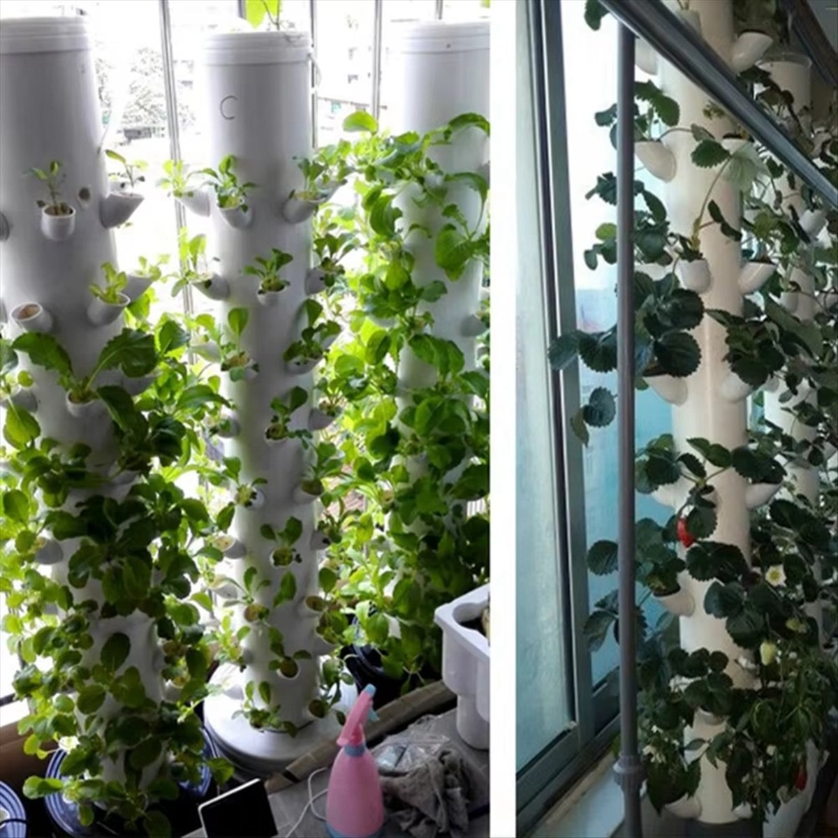 Hydroponischer Vertikaler Turm – Hydroponic Tower Bewertung und Preis