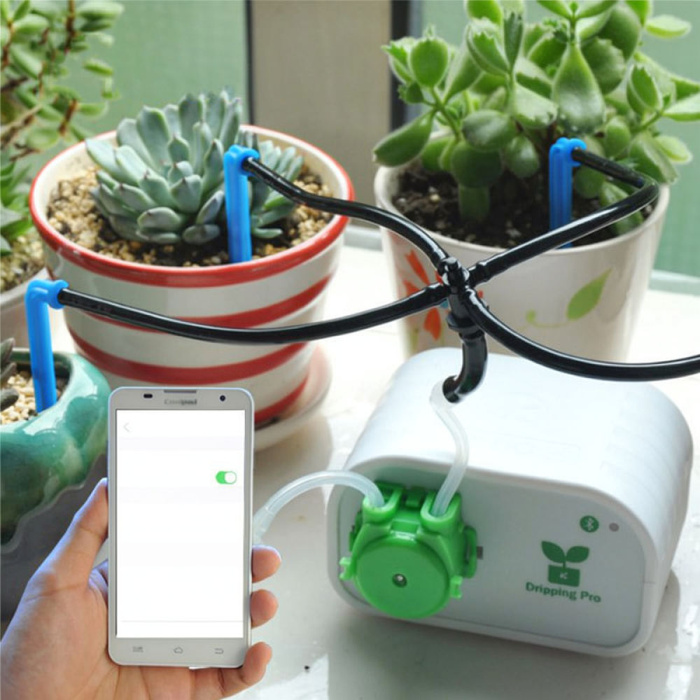 Automatisches Bewässerungsgerä – Indoor Garden Kit Bewertung und Preis
